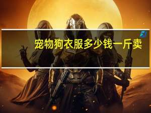宠物狗衣服多少钱一斤卖