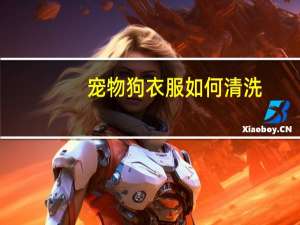 宠物狗衣服如何清洗