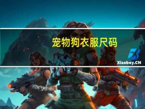 宠物狗衣服尺码