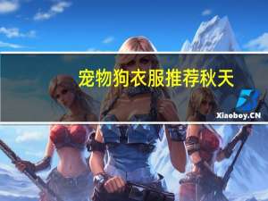 宠物狗衣服推荐秋天