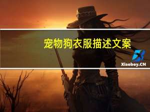 宠物狗衣服描述文案