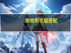 宠物狗衣服搭配