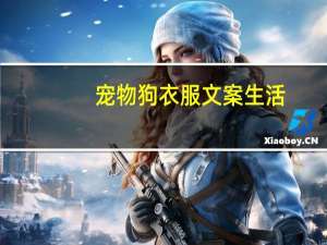 宠物狗衣服文案生活