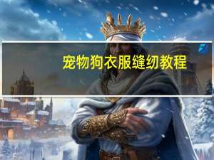 宠物狗衣服缝纫教程