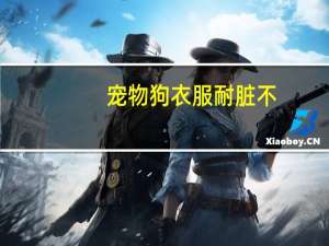 宠物狗衣服耐脏不