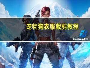 宠物狗衣服裁剪教程