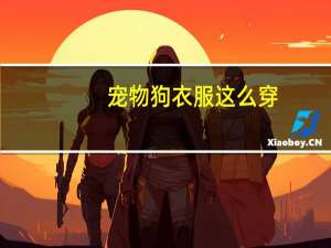 宠物狗衣服这么穿