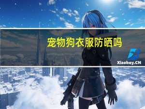 宠物狗衣服防晒吗
