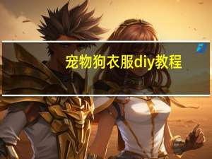 宠物狗衣服diy教程