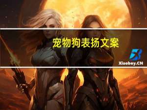 宠物狗表扬文案
