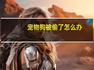 宠物狗被偷了怎么办
