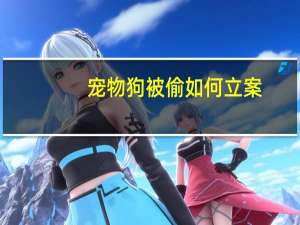 宠物狗被偷如何立案