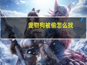 宠物狗被偷怎么找