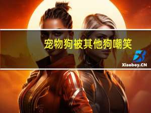 宠物狗被其他狗嘲笑