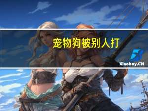 宠物狗被别人打