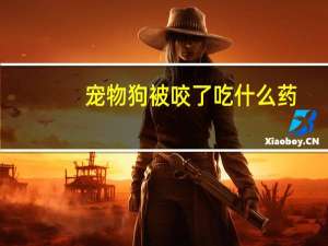 宠物狗被咬了吃什么药