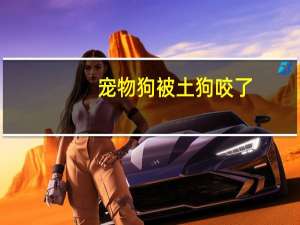 宠物狗被土狗咬了