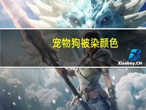 宠物狗被染颜色