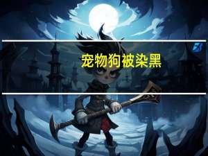 宠物狗被染黑