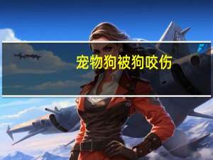 宠物狗被狗咬伤
