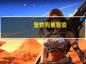 宠物狗被狼咬