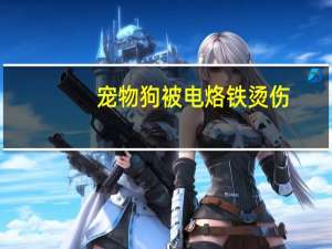 宠物狗被电烙铁烫伤