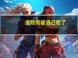 宠物狗被自己吃了