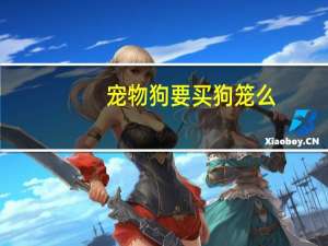 宠物狗要买狗笼么