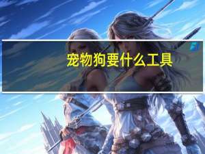 宠物狗要什么工具