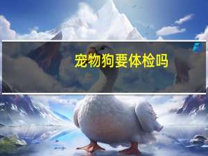 宠物狗要体检吗