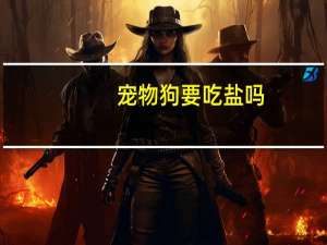 宠物狗要吃盐吗