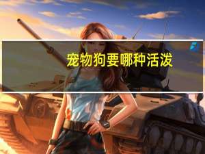 宠物狗要哪种活泼