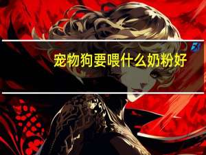 宠物狗要喂什么奶粉好