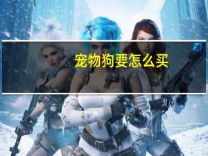 宠物狗要怎么买