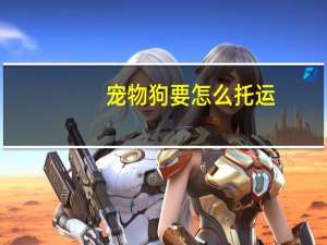 宠物狗要怎么托运