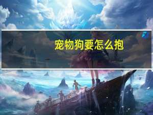 宠物狗要怎么抱