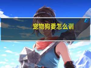 宠物狗要怎么训
