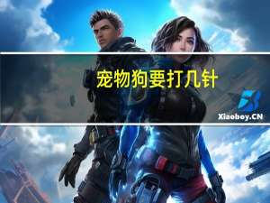 宠物狗要打几针