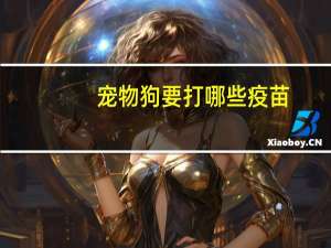 宠物狗要打哪些疫苗