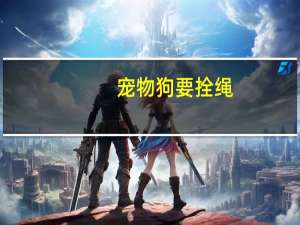 宠物狗要拴绳