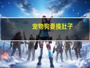 宠物狗要摸肚子