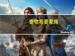 宠物狗要牵绳