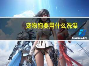 宠物狗要用什么洗澡