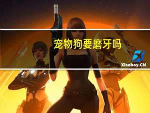 宠物狗要磨牙吗