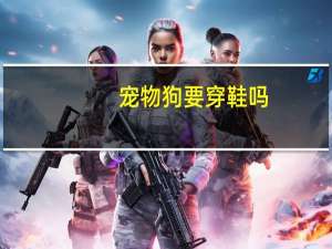 宠物狗要穿鞋吗