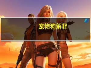 宠物狗解释