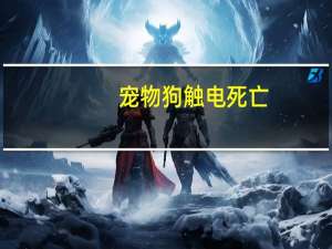 宠物狗触电死亡
