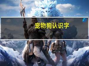 宠物狗认识字