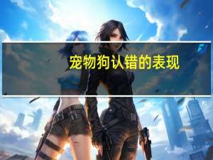 宠物狗认错的表现