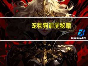 宠物狗训厕秘籍